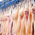 ASF w Wielkopolsce oznacza spore kłopoty. Rosną ceny mięsa