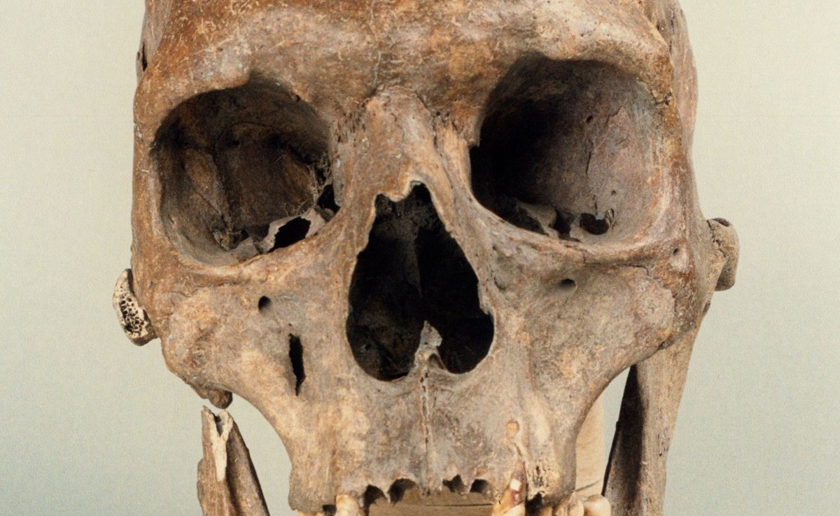 Czaszka kobiety-gigantki z Ostrowa Lednickiego