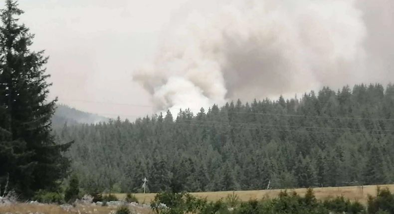 šumski požar u pograničnom pojasu Srbije i Crne Gore u reonu Kamene Gore