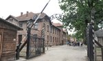 Amerykański kongresmen niestosownie zachował się w  Auschwitz