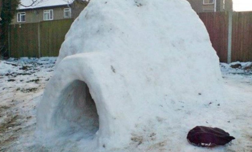 Problemy Wynikające Z Mieszkania W Igloo Igloo w cenie mieszkania. Wystawił na sprzedaż igloo