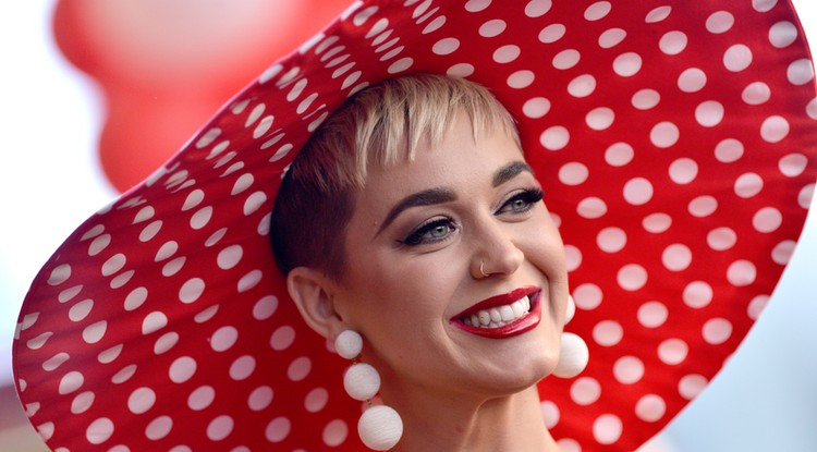 Katy Perrynél nincs szexisebb kutya gazdi