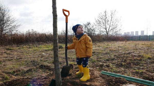 Tej jesieni krakowskie rodziny posadzą 300 drzew przy ul. Węgrzeckiej. To tam pojawi się już siódmy Park Krakowian.