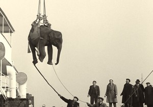 Soundtrack to a Coup