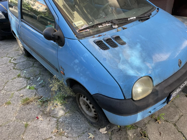 Twingo zaatakowane przez naturę pewnie też jest "martwą duszą"