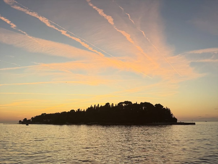 Viktor Živojinović