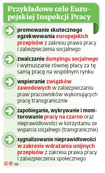 Przykładowe cele Europejskiej Inspekcji Pracy