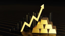 trzy kruszce na historycznych szczytach. jeden z nich podrożał w tym r