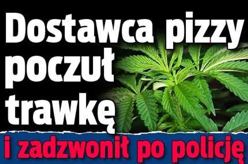 Dostawca pizzy poczuł trawkę i zadzwonił po policję