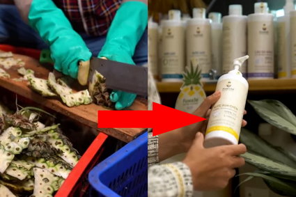 Zamieniają skórki od ananasa w mydło i środki czyszczące. Czy nowy trend ma szansę przetrwać?