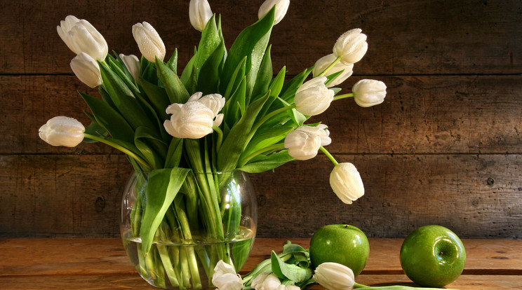 Így marad sokáig friss a tulipán a vázában /Fotó: Northfoto