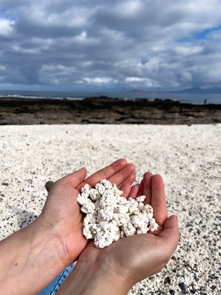 Fuerteventura - Popcorn Beach