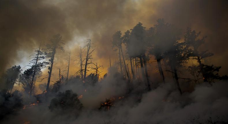 California Fires Fanned by Strong Winds