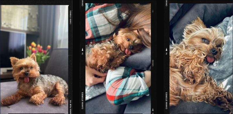 Sestra Brone Gregušovej Lucia smúti za psíkom.