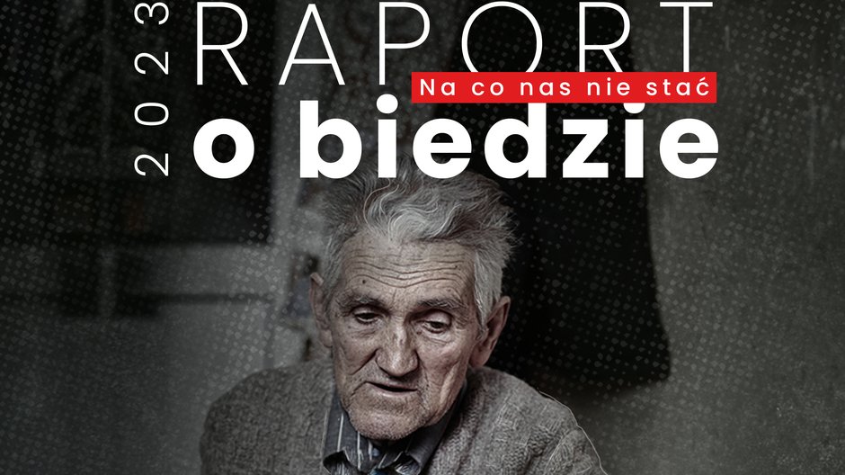 Raport o Biedzie 2013