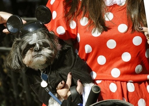 HALLOWEEN DOG PARADE US