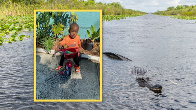 Tragedia w USA. Ciało chłopca znaleziono w paszczy aligatora