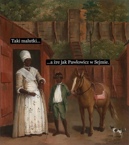 mem / Sztuczne fiołki