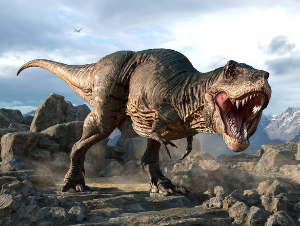 Inteligentny jak… tyranozaur! Naukowcy twierdzą, że prehistoryczne gady były tak mądre, jak współczesne naczelne