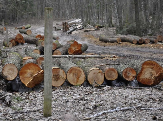 W niechronionej© www.tydecydujesz.org