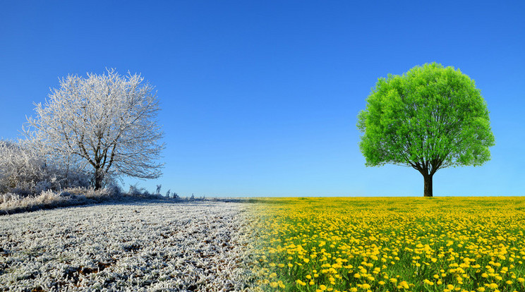  fotó: iStock