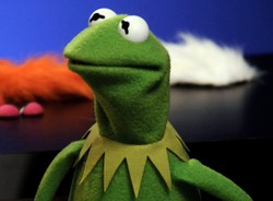 Rodzice zwariowali. Chcieli nazwać dziecko jak żabę