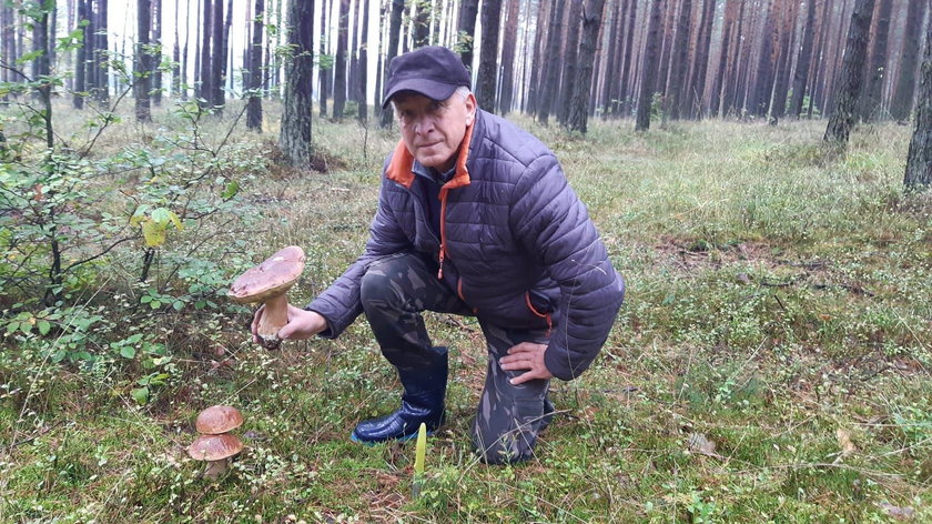 Sukces grzybiarza z Małopolski. Pan Jerzy znalazł olbrzymiego prawdziwka!