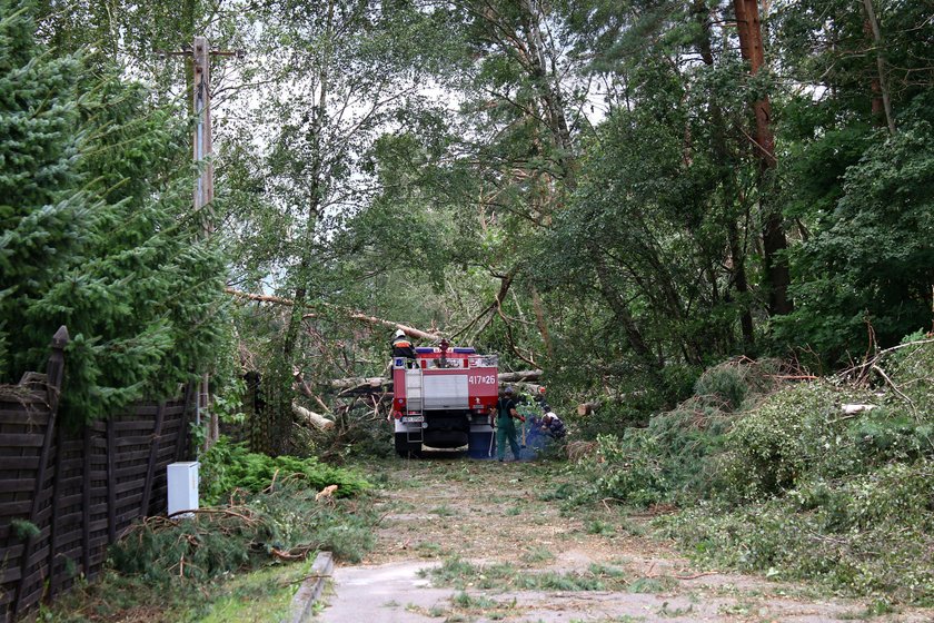 Animal Patrol zorganizował zbiórkę dla ludzi na Kaszubach, poszkodowanych w nawałnicy