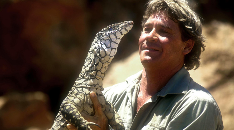 Steve Irwin műsorát világszerte mindenki szerette /Fotó: AFP