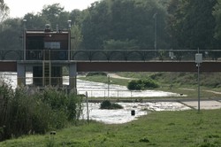 Lasy zniszczone przez powódź. "Odradzamy wstęp ze względów bezpieczeństwa"