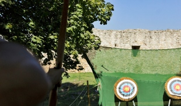 STRELICARSTVO