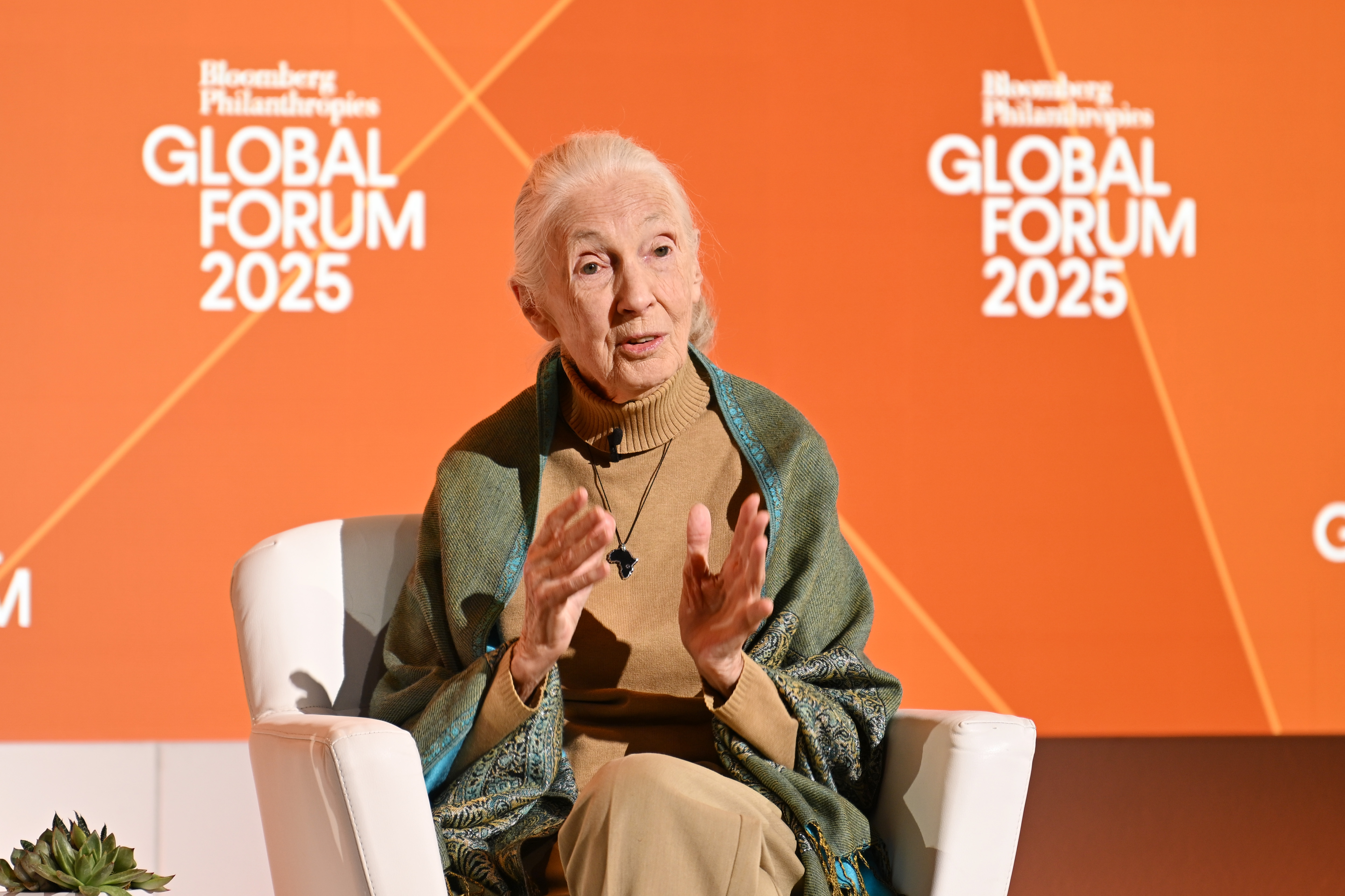 Fallece Jane Goodall: Pionera etología muere a los 91