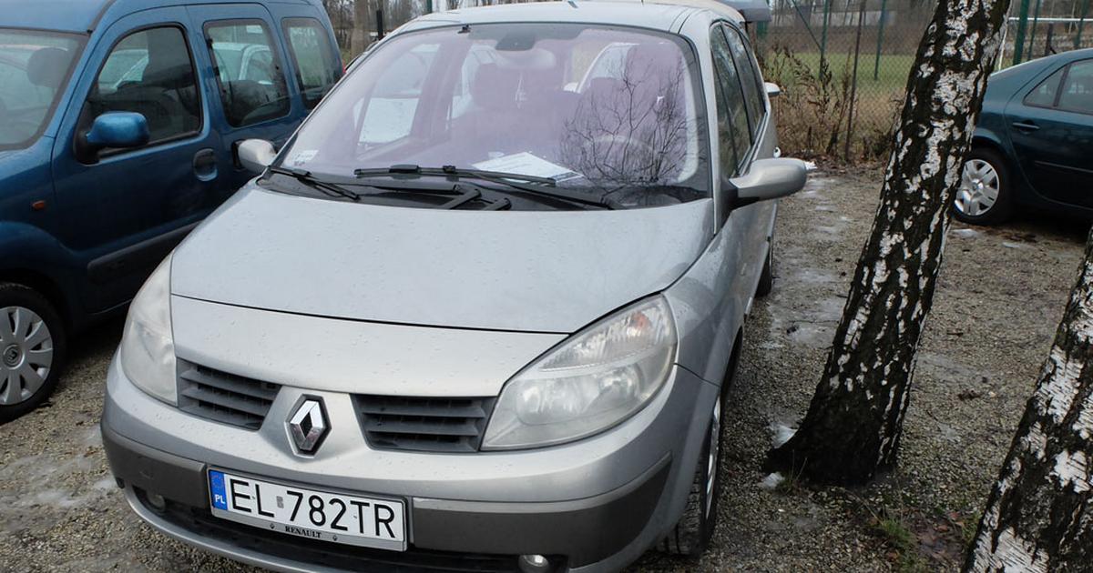 Auto z ogłoszenia bezwypadkowość według handlarza