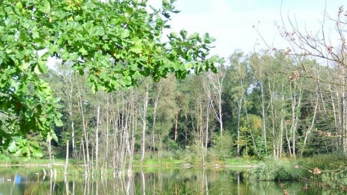 Tak przynajmniej obiecują miejscy urzędnicy. Wszystko przez to, że zarządca, który miał się zająć terenem nad Rusałką rozwiązał z miastem umowę tuż przed sezonem. Miasto ma jednak plan awaryjny.