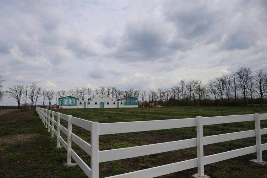 Branko Babić Ratkovo 