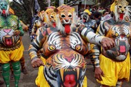 Performers painted to look like tigers dance during festivities marking the start of the annual harv