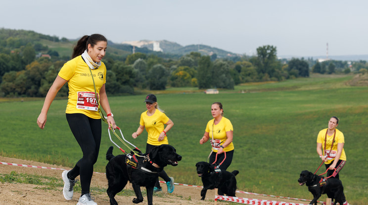 Hard Dog Race elnevezésű kutyás futóversenyen az idén látássérültek, a tüdőbeteg versenyző is indult, akinek a futás következtében javult az állapota. A képen a Baráthegyi Vakvezető és Segítő Kutya Iskola vakvezető kutyái, Mokka, Artúr és Milka, valamint három látássérült versenyzőnő, Lengyel Zsófi, Hegedűs Brigitta és Horváth Szindi látható. / Fotó: Farkas Milán