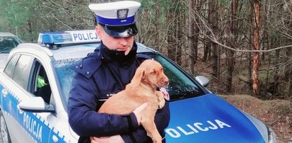 Ktoś porzucił tę kruszynkę w lesie. Policjanci ruszyli na pomoc [ZDJĘCIA]