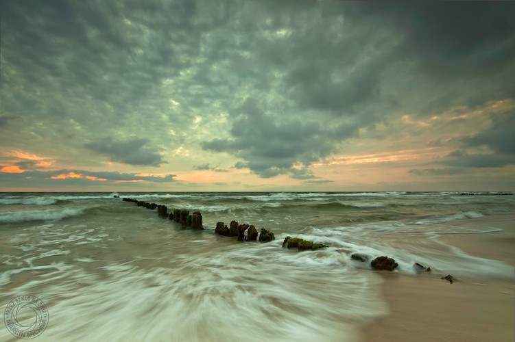 Fotografie autorstwa Katarzyny Figury