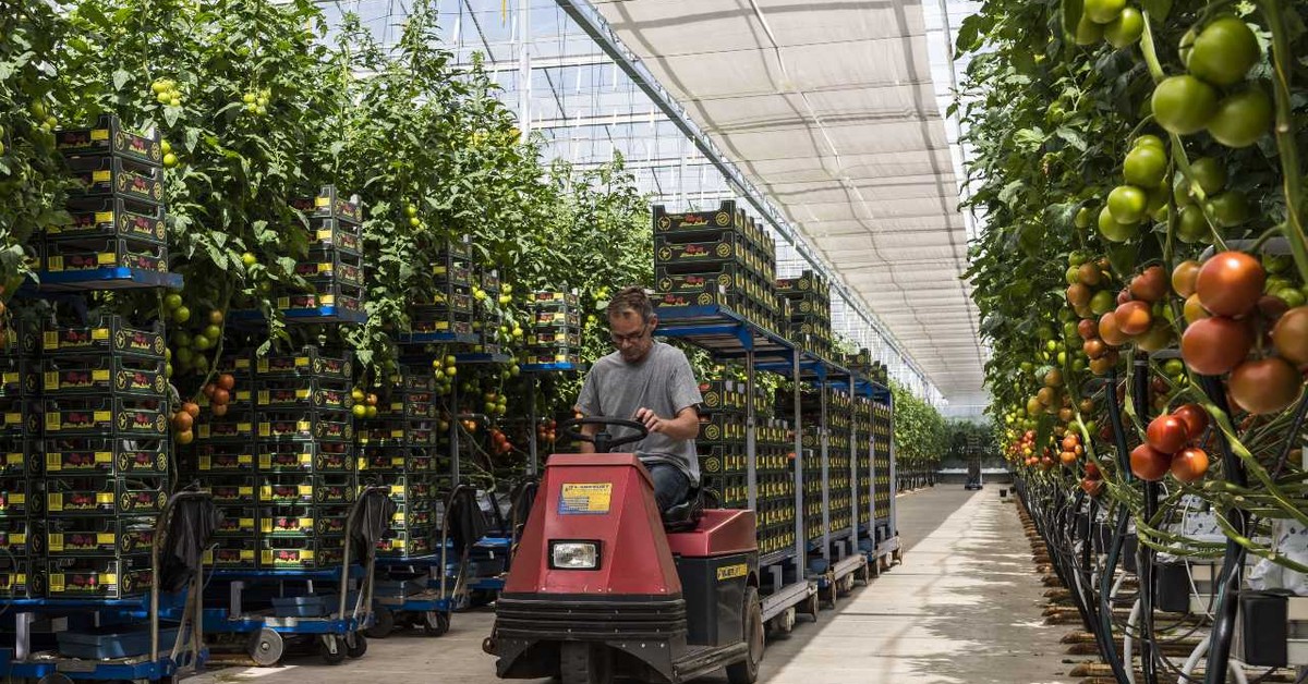 Dlaczego Polacy emigrują? Jest jeden główny powód. Dotyczy wybranych krajów