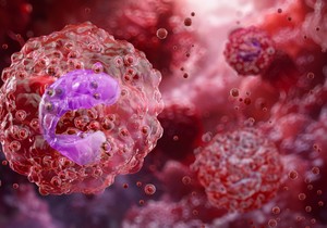 Bazofili su najmanji granulociti po broju, ali najveći po veličini 