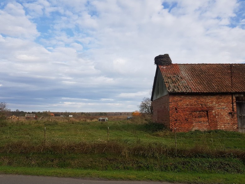 Gronowo, w oddali las po rosyjskiej stronie