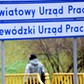 urząd pracy, praca, bezrobocie