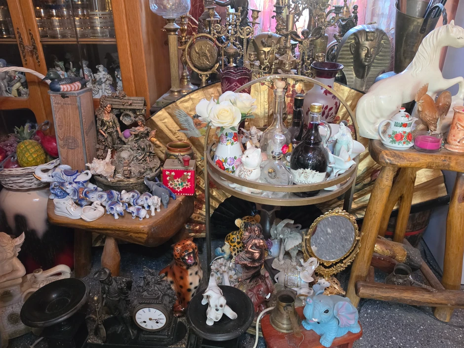 Antikviteti u kući Milosave Pravilović