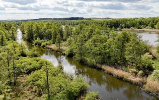 Sejm uchwalił park narodowy nad Odrą - szczegóły i granice