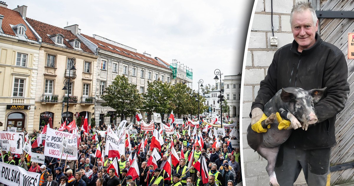 Burza na wsi. "Podrzucona żaba, nie umowa. Po ludzku jestem wkurzony"