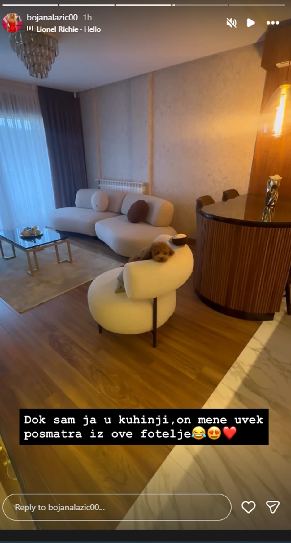 Bojana Lazić pokazala stan