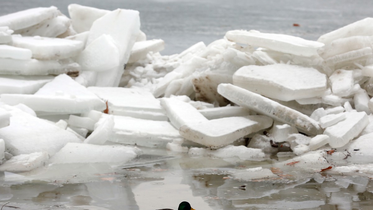 Uskoro novo jako zahlađenje: Ove velike reke u Srbiji će se zalediti