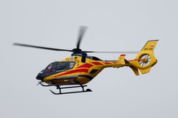 Wypadek w Szczecinie. Konar przygniótł trójkę dzieci