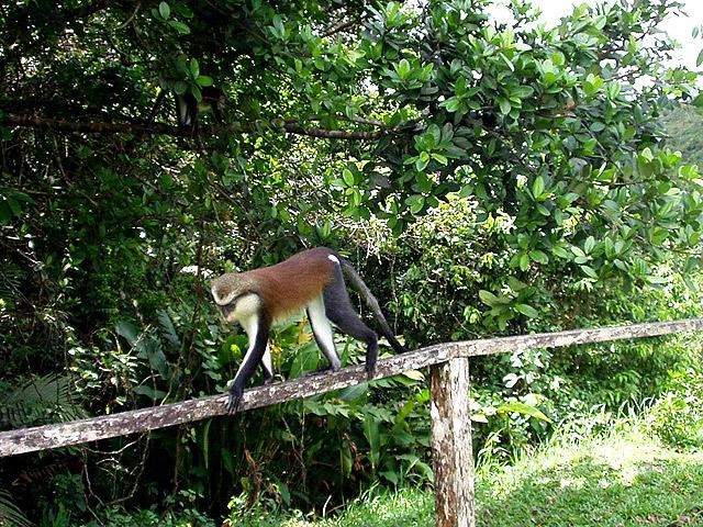 Galeria Grenada, obrazek 29